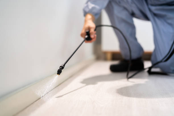 Professional exterminator conducting IPM assessment in Southmayd